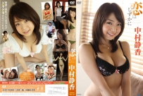 恋はしずかに 中村静香 [TSDV-41284]